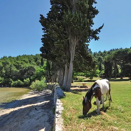 1 Bedroom Pet Friendly Apartment In Bol *